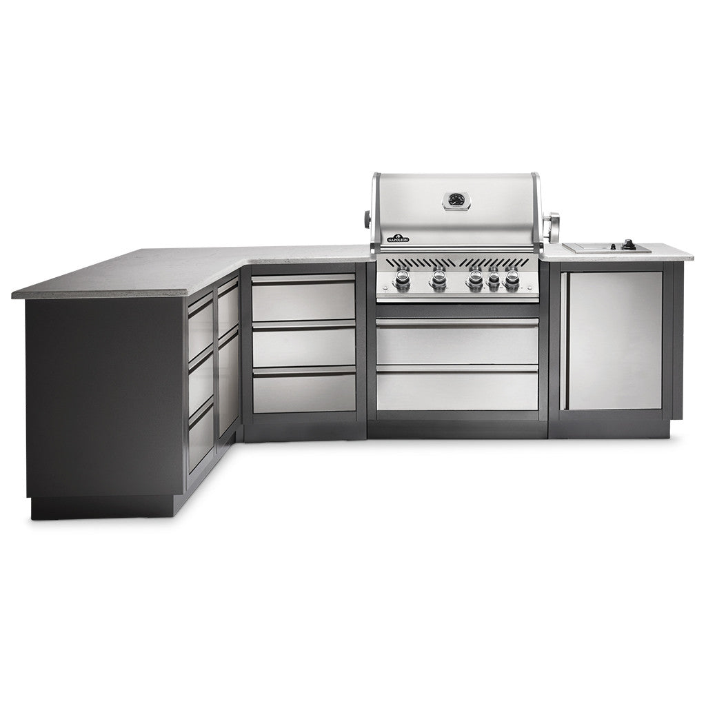 Napoleon Built-In Prestige Pro 500 RB Grill