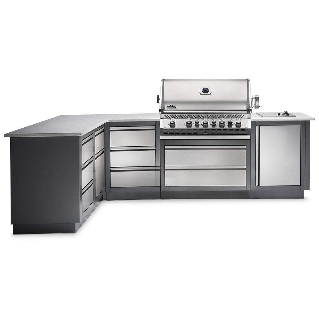 Napoleon Built-In Prestige Pro 665 RB Grill